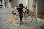 HHB2-10-13-12-0830-DDeRosaPhoto