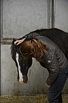 HHB2-10-14-12-2129-DDeRosaPhoto