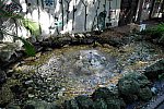 Hippocrates-1-15-17-3613-DDeRosaPhoto