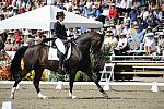 DSEL-62808-561-CourtneyKing-HarmonysMythilus-DeRosaPhoto