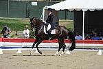 DSEL-62908-1109-CourtneyKing-HarmonysMythilus-DeRosaPhoto
