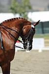 DSEL-62808-127-DebbieMcDonald-Brentina-DeRosaPhoto