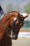 DSEL-62808-129-DebbieMcDonald-Brentina-DeRosaPhoto