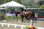 DSEL-62908-1031-DebbieMcDonald-Brentina-DeRosaPhoto