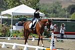 DSEL-62908-1032-DebbieMcDonald-Brentina-DeRosaPhoto