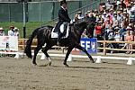 DSEL-62808-486-GeorgeWilliams-Rocher-DeRosaPhoto
