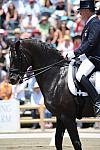 DSEL-62908-797-GeorgeWilliams-Rocher-DeRosaPhoto