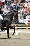 DSEL-62808-453-SteffenPeters-Ravel-DeRosaPhoto