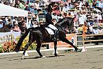 DSEL-62908-1162-SteffenPeters-Ravel-DeRosaPhoto