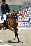DSEL-62908-941-SteffenPeters-Lombardi11-DeRosaPhoto