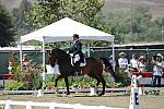 DSEL-62908-981-SusanBlinks-Mark-DeRosaPhoto