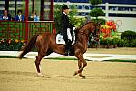 HKD-8-13-08-0516-HeikeKemmer-Bonaparte-GER-DeRosaPhoto.jpg