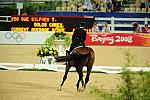 HKD-8-13-08-0976-TinneSilfven-SolosCarex-SWE-DeRosaPhoto.jpg