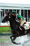 HKEV-8-11-08-0382-GeoffreyCurran-Kilkishen-IRL-DeRosaPhoto.JPG