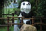 HK-8-8-08-033-DeRosaPhoto.jpg