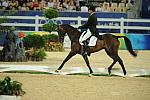 HKEV-8-9-08-581-AndrewNicholson-LordKillinghurst-NZL-DeRosaPhoto.jpg