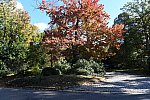 11 Evans-11-01-21-6016-DDeRosaPhoto