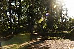 11 Evans-11-01-21-6028-DDeRosaPhoto