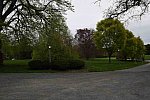 Gardens-IPE-LloydHarbor-5-10-19-7788-DDeRosaPhoto