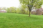 Gardens-IPE-LloydHarbor-5-10-19-7795-DDeRosaPhoto