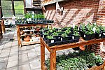 Gardens-Greenhouse-IPE-LloydHarbor-5-10-19-7954-DDeRosaPhoto