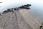 IPE-LloydHarbor-3-28-19-3600-DDeRosaPhoto