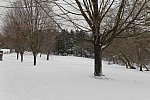 31 Fort Hill-12-17-2020-Snowstorm--0056-DDeRosaPhoto