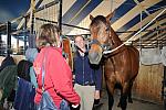 KAM-3378-2-9-11-SanDiego-DDeRosaPhoto.JPG
