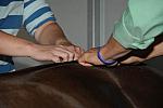 KAM-3454-2-9-11-SanDiego-DDeRosaPhoto.JPG