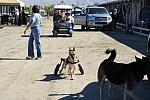 KAM-3500-2-9-11-SanDiego-DDeRosaPhoto.JPG