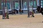 MUSTANG-10-11-21-5399-DDeRosaPhoto