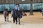 MUSTANG-10-11-21-5408-DDeRosaPhoto