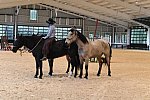 MUSTANG-10-11-21-5438-DDeRosaPhoto