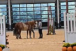 MUSTANG-10-11-21-5462-DDeRosaPhoto