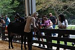 MUSTANG-10-11-21-5507-DDeRosaPhoto