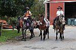 MUSTANG-10-12-21-2870-DDeRosaPhoto