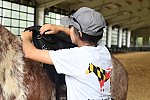 MUSTANG-10-12-21-5571-DDeRosaPhoto