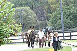 MUSTANG-10-12-21-5622-DDeRosaPhoto