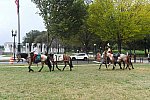 MUSTANG-10-12-21-5689-DDeRosaPhoto