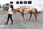 MUSTANG-10-13-21-5739-DDeRosaPhoto