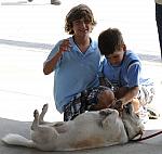 0699-NAJYRC-7-26-09-Dogs-DDeRosaPhoto.jpg