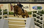 NHS-11-4-12-6873-AlexandraMaracic-DDeRosaPhoto