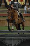 540-JackhardinTowell-Miracle-NHS-12-2-06-&copy;DeRosaPhoto.jpg