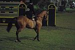 045-JocelynDayus-ZeigfeldFollies-NHS-12-1-06-&copy;DeRosaPhoto.jpg