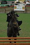 575-NHS-12-2-06-&copy;DeRosaPhoto.jpg