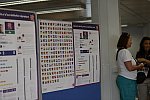 Olympics-7-25-12-0127-DDeRosaPhoto
