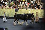 Olympics-OPCeremony-7-27-12-0865-DDeRosaPhoto