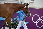 Olympics-EVJg-7-27-12-0453-PeterThomsen-Barny-GER-DDeRosaPhoto