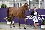 Olympics-EVJg-7-27-12-0497-MichelleMueller-Amistad-CAN-DDeRosaPhoto