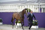 Olympics-EVJg-7-27-12-0579-StefanoBrecciaroli-ApolloWDWendiKurtHoev-ITA-DDeRosaPhoto